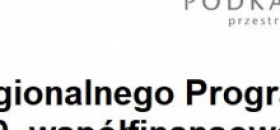 Harmonogram planowanego wsparcia w ramach projektu POWES 2.   
